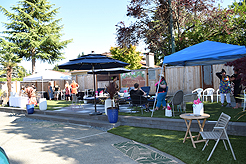 MOMENTUM - MULTI-VENDOR